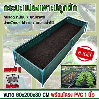 กะบะปลูกผักสำเร็จรูป พร้อมโครง PVC 1 นิ้ว ขนาด 60x200x30 cm