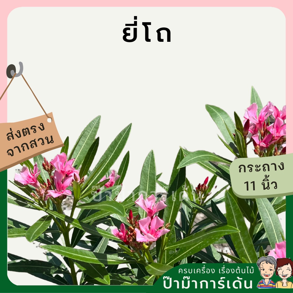 มุมมอง 5