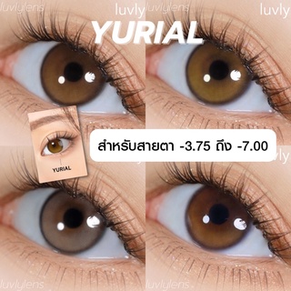 พร้อมส่ง Yurial - Idollens คอนแทคเลนส์รายปี (สายตา -3.75 ถึง -7.00)