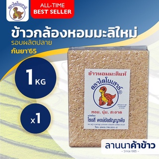 ข้าวกล้องไดโนเสาร์ (กล้องมะลิ กลางปี) น้ำหนัก 1 กก. (แพ็คสูญญากาศ)