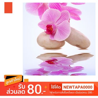 น้ำหอม NG Natures Garden นำเข้าจากอเมริกา กลิ่น  ORCHID RAIN FRAGRANCE OIL ขนาด 16 ออนซ์