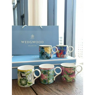 WEDGWOODWeizhihuo Wandering in Meijing mug bone china cup, water cup, coffee cup, tea set, 5 pieces