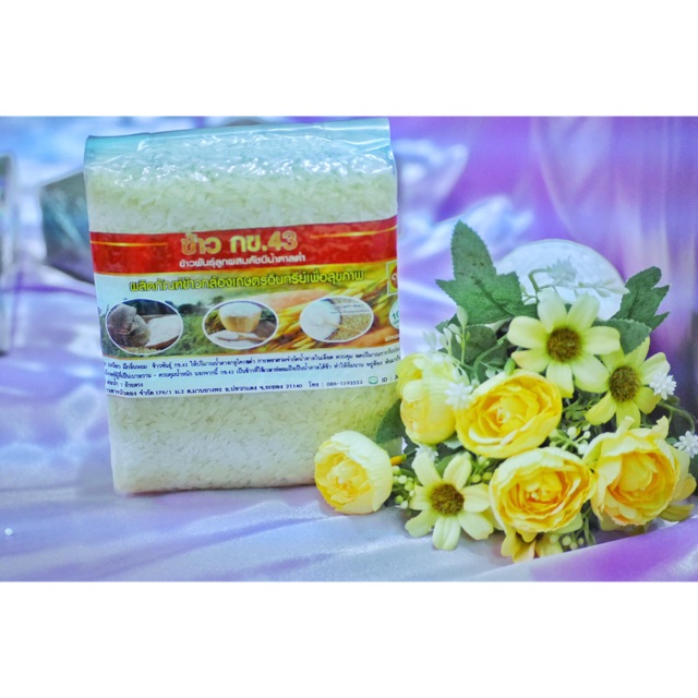 ข้าวไรเบอรี่ ข้าว กข43