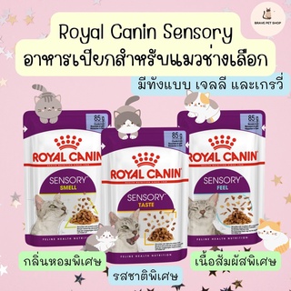 อาหารเปียกแมว Royal Canin Sensory สำหรับแมวช่างเลือก แมวกินยาก มีทั้งแบบเจลลี่ และเกรวี่