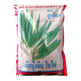 เมล็ดพันธุ์ผักบุ้งจีนใบไผ่ ตราลูกโลก