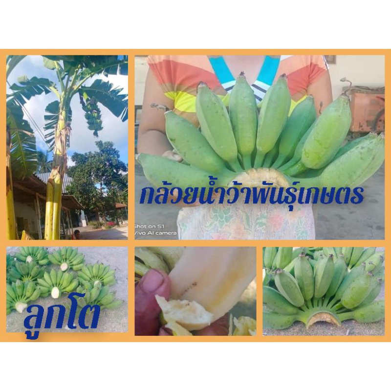 My Image 38