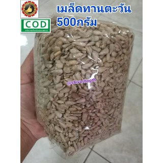 500กรัม เมล็ดทานตะวัน Sunflower Seed