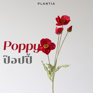 [พร้อมส่ง🚚] ป๊อปปี้ประดิษฐ์ - Artificial Poppy (ดอกป๊อปปี้ปลอม ดอกไม้ประดิษฐ์ ดอกไม้ปลอม ช่อดอกไม้ประดิษฐ์)