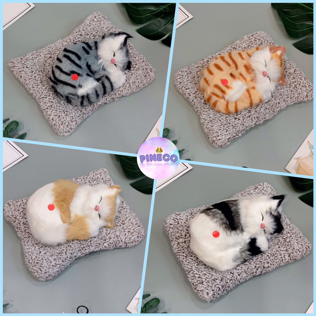 สินค้าใหม่!!! น้องแมวอัพไซส์ น้องแมวจัมโบ้ ตุ๊กตาแมวดูดกลิ่น ตุ๊กตาแมวดับกลิ่น ตุ๊กตาดูดกลิ่นในรถ แมวตัวใหญ่ น่ารักสุดๆๆ