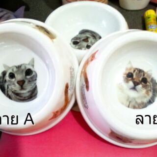 ชามอาหารใบเล็กสำหรับแมว