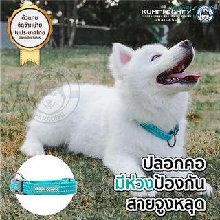 ปลอกคอสุนัข Outdoor Collar - Kumfi Comfy จากตัวแทนจำหน่ายอย่างเป็นทางการ เจ้าเดียวในประเทศไทย