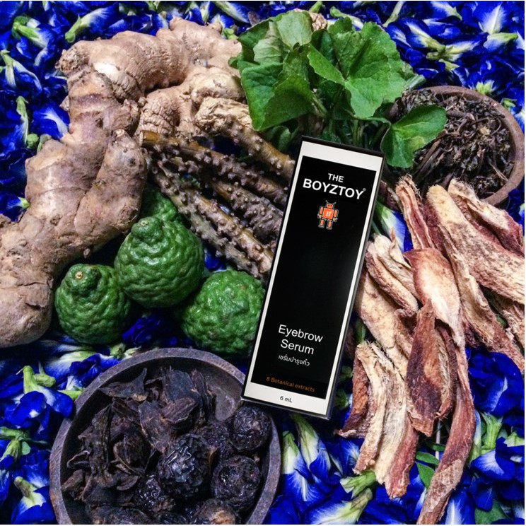 เซรั่มบำรุงขนคิ้ว : The Boyztoy Eyebrow Serum