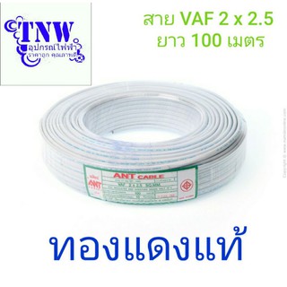 สาย สายแข็ง สายไฟ VAF 2×2.5 ตร.มม. ANT CABLE