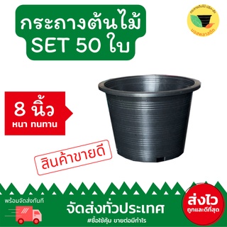 (เก็บโค้ดส่งฟรีหน้าร้านค้า) กระถางพลาสติกดำ 8 นิ้ว แพ็ค 50 ใบ จานรอง 8 นิ้ว แพ็ค 50 ใบ