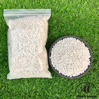 [D06] 3 ลิตร สุดคุ้ม เพอร์ไลท์(Perlite) ฝุ่นน้อย วัสดุปลูก ดินปลูก