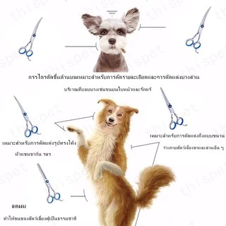 🐶 6/9 ชิ้น กรรไกรตัดขนสุนัข แบตตาเลี่ยนตัดขนส กรรไกรตัดขนแมว ตัดขนหมา ตัดขนสุนัข ตัดขนแมว กรรไกร สุนัข กรรไกรแมว