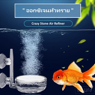 EZ หัวทรายออกซิเจน เครื่องฟอกอากาศ ตู้ปลา อากาศในน้ำ Air Refiner Oxygen Nano Diffuser Air Pump Fish Tank Co2 Acrylic Large Small Tank