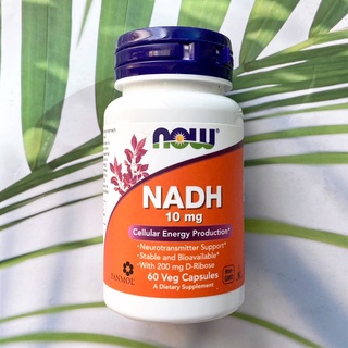 ผลิตภัณฑ์อาหารเสริม NADH 10 mg 60 Veg Capsules (Now Foods®) ระบบเซลล์ ระบบประสาท