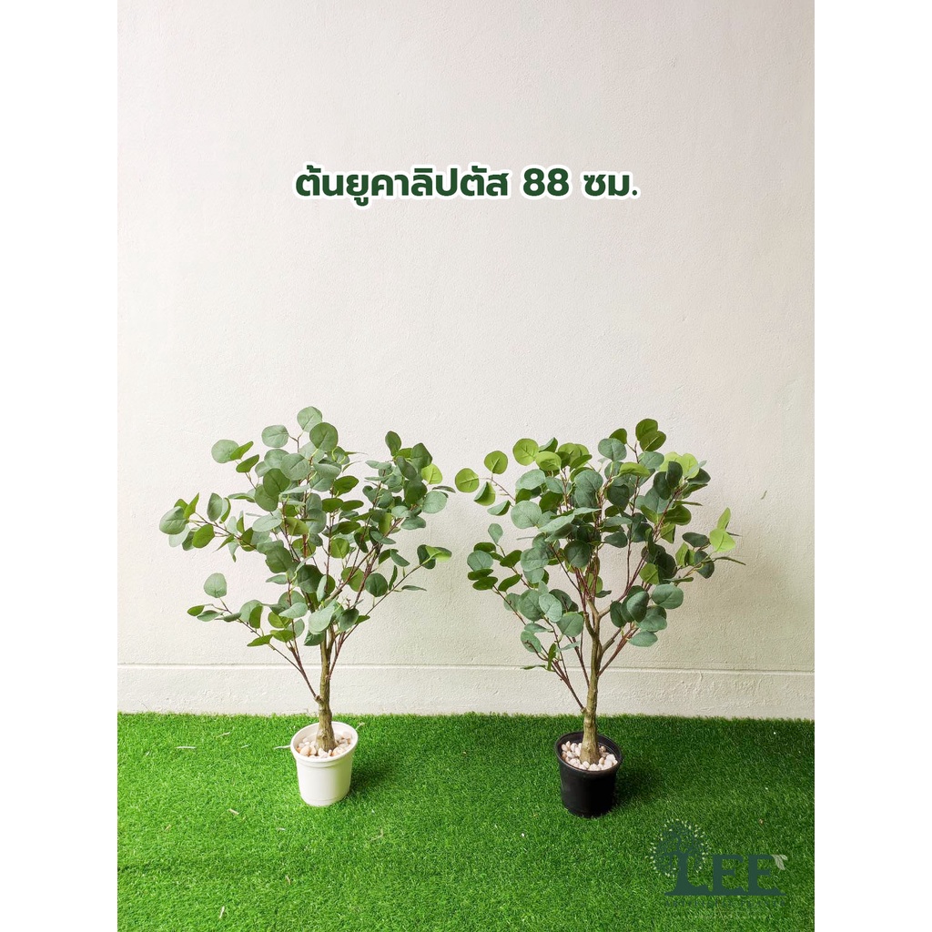 (( NEW )) ต้นยูคาลิปตัส (Eucalyptus) เสมือนจริง 88 ซม. / ต้นไม้ปลอมตกแต่งบ้าน Leeartplants