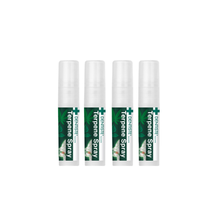 (แพ็ค 4) Dentiste Terpene Mouth Spray 3 ml. สเปรย์ดับกลิ่นปาก กลิ่นเทอร์พีน หอมสดชื่น ผ่อนคลาย ลดการสะสมของแบคทีเรีย เดนทิสเต้