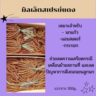 มิลเล็ตสเปรย์แดง (แบ่งขาย 500g.)