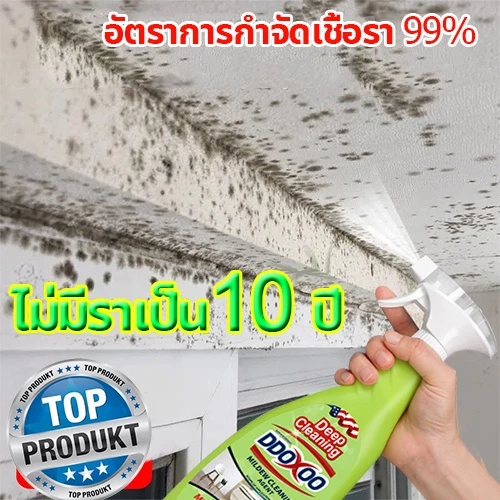 น้ำยาฆ่าเชื้อรา น้ำยากำจัดเชื้อรา กำจัดเชื้อรา เชื้อรา คราบเชื้อรา น้ำยาฆ่าเชื้อราแบบสเปรย์ น้ำยากำจัดคราบสิ่งสกปรกผนัง