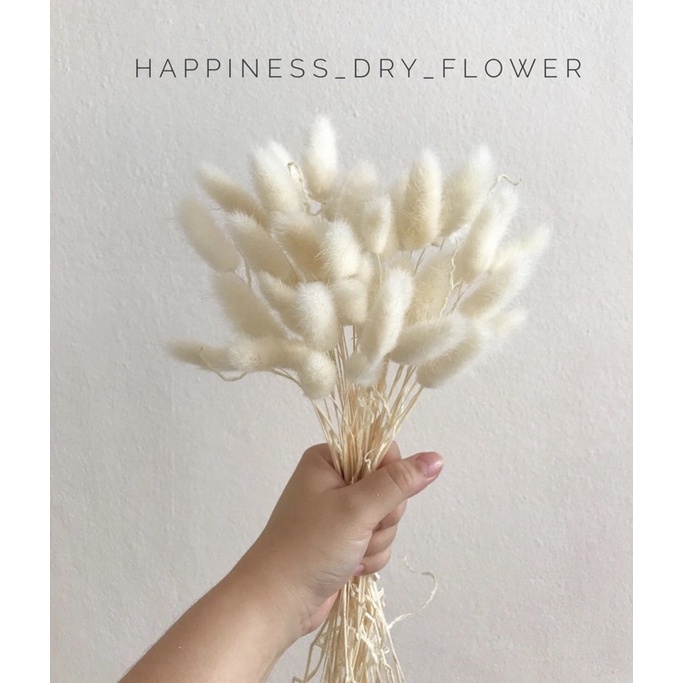 หางกระต่ายสีขาวฟูๆ(ตัวนี้ก้านค่อนข้างอ่อนนะคะ) แต่รับประกันความสวยค่า
