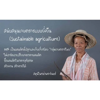 ดอกกระดังงา " คัดมือ ด้วยความใส่ใจ" ดอกกระดังงาแห้ง กระดังงา กะดังงา
