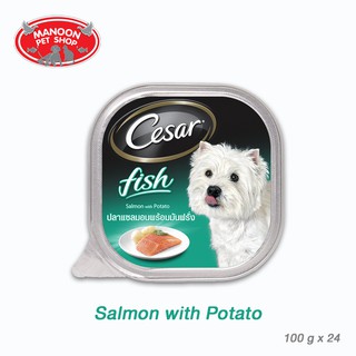 [24 PCS][MANOON] CESAR Salmon with Potato 100g ซีซาร์ ถาด รสปลาแซลมอนและมันฝรั่ง 100 กรัม