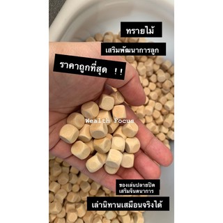 ทรายไม้ใหญ่ 10 mm ของเล่นเสริมจินตนาการ ค่าส่งถูก พร้อมส่ง