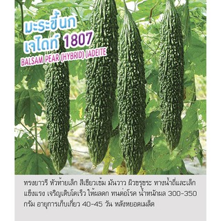 เมล็ดพันธุ์ มะระขี้นก มะระ เจไดท์ -Balsam Pear (Hybrid) Jadeite ตราดอกแตง เมล็ดพันธุ์ เมล็ดผัก คุณภาพดี