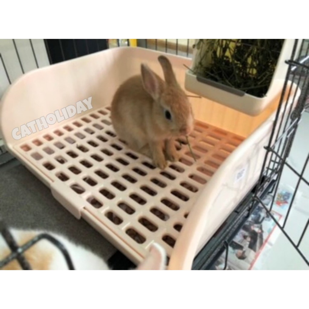 CatHoliday ห้องน้ำกระต่าย XL ห้องน้ำสัตว์เลี้ยง