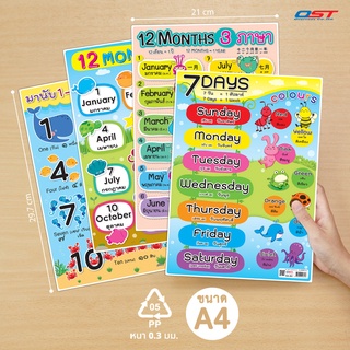 แผ่นความรู้พลาสติก ขนาด A4 ( 12 Months 3 ภาษา, 7 Days , 12 Months , มานับ 1-10 )หนา 0.3 มม.