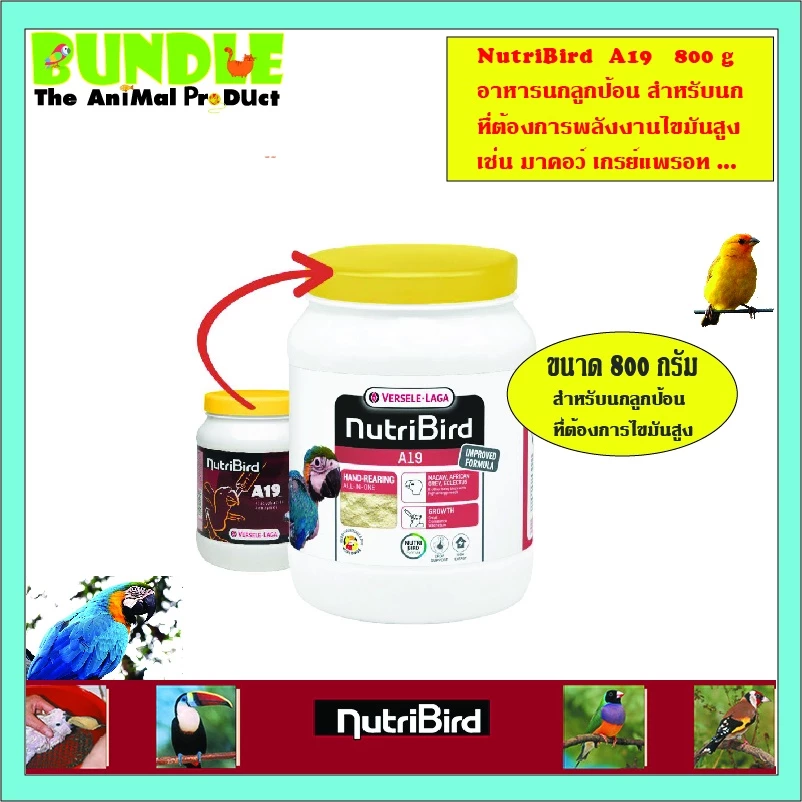 NutriBird A19 800 g. อาหารนกลูกป้อน อาหารลูกป้อน สำหรับลูกนกที่ต้องการพลังงานไขมันสูง ขนาด 800 กรัม