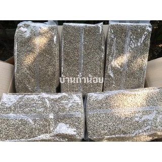 เม็ดทานตะวันดิบแกะเปลือก 1 กิโล ขายปลีกส่ง เกรดPremium ‼️✅