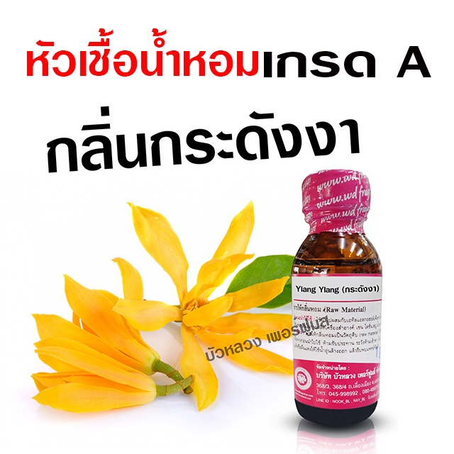 หัวเชื้อน้ำหอม แท้ 100 % กลิ่นดอกกระดังงา 30 ml.  หอมดอกไม้ {{ พร้อมส่ง }} 🚚🚚 - Bualuang Perfume