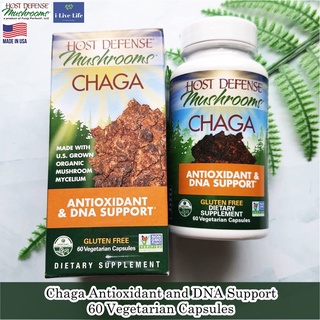 เห็ดหิ้งไซบีเรีย ชาก้า Chaga Antioxidant and DNA Support 60 Vegetarian Capsules - Host Defense