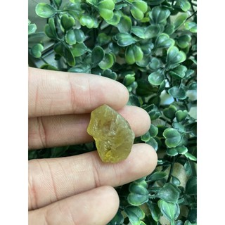 (C) พลอยดิบแท้ เยลโล่ อพาไทร์(Yellow Apatite)พลอยธรรมชาติ 100% น้ำหนัก 38.50 กะรัต