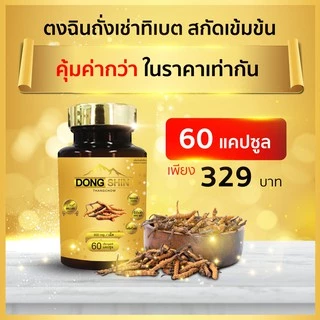 ตงฉินถั่งเช่า 60 แคปซูล 444 มก. DongShin ถั่งเช่าทิเบตแท้ อาหารเสริมสุขภาพ บำรุงร่างกาย