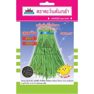 เมล็ดพันธุ์ ถั่วฝักยาว สุขุมวิท 8 กรัม/ซอง ตราตะวันต้นกล้า