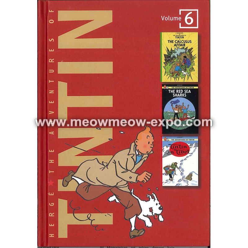 AD06 The Adventure of TinTin: 6