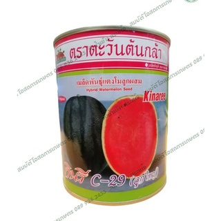 เมล็ดพันธุ์แตงโมกินรี C-29 40 กรัม ตราตะวันต้นกล้า