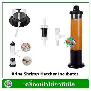 เครื่องเป่าอาทิเมีย Artimia ฟักอาร์ทิเมีย Brine Shrimp Hatcher Incubator