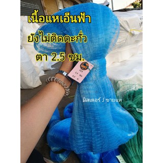 เนื้อแหเอ็นฟ้า เอ็น 025  ตา 2.5 ซม.