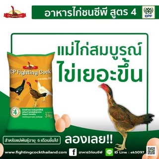 ของใหม่ พร้อมส่ง อาหารไก่ชนซีพี อาหารไก่ชนพรีเมี่ยมจาก cp 3kg. CP Cock Fighting (แถมฟาร์มิน 1ซอง)