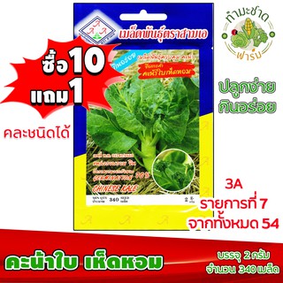 (ซื้อ10แถม1) เมล็ดพันธุ์ คะน้า ใบเห็ดหอม Chinese Kale ประมาณ 340เมล็ด 3A สามเอ ผักสวนครัว เมล็ดพันธุ์พืช เมล็ดผัก