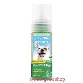 Tropiclean Fresh Breath Mint Foam หมดอายุ 02/2025 ผลิตภัณฑ์เนื้อโฟมเพื่อการดูแลสุขภาพช่องปาก สุนัขและแมว (4.5 Oz.)