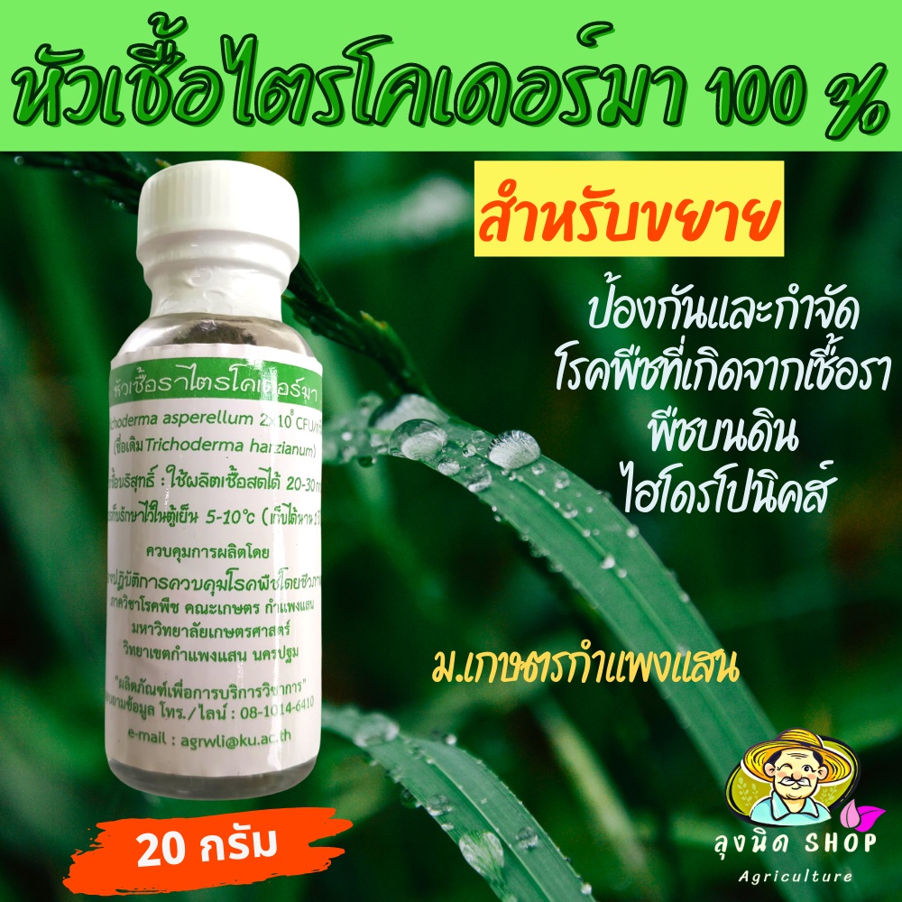หัวเชื้อไตรโคเดอร์มา แท้100% ม.เกษตรกำแพงแสน ขนาด20กรัม ใช้ขยายเชื้อสดได้ 20-30 กิโลกรัม มีคู่มือการ