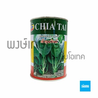 เมล็ดพันธุ์คะน้ายอด เจ้าคุณทิพย์ ตราเจียไต๋100กรัม เมล็ดพันธุ์ผัก เมล็ดพันธุ์พืช ผักสวนครัว พรรณไม้ พงษ์เกษตรอุตรดิตถ์