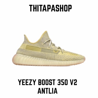 YEEZY BOOST 350 V2 ANTLIA